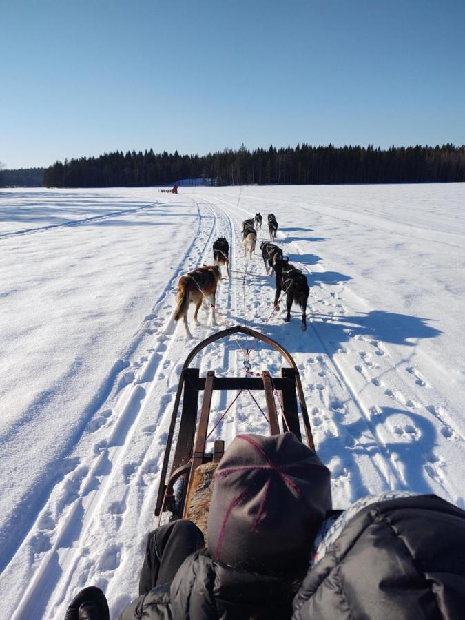 Lagomhuset - A Peaceful Holiday In Swedish Lapland Vidsel Luaran gambar